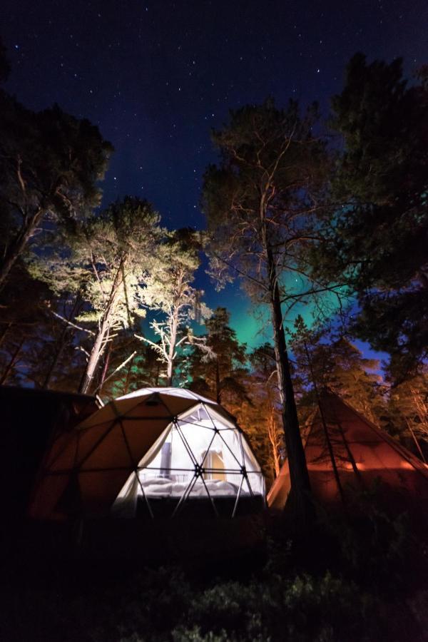 GLØD Aurora Canvas Dome Alta Eksteriør billede