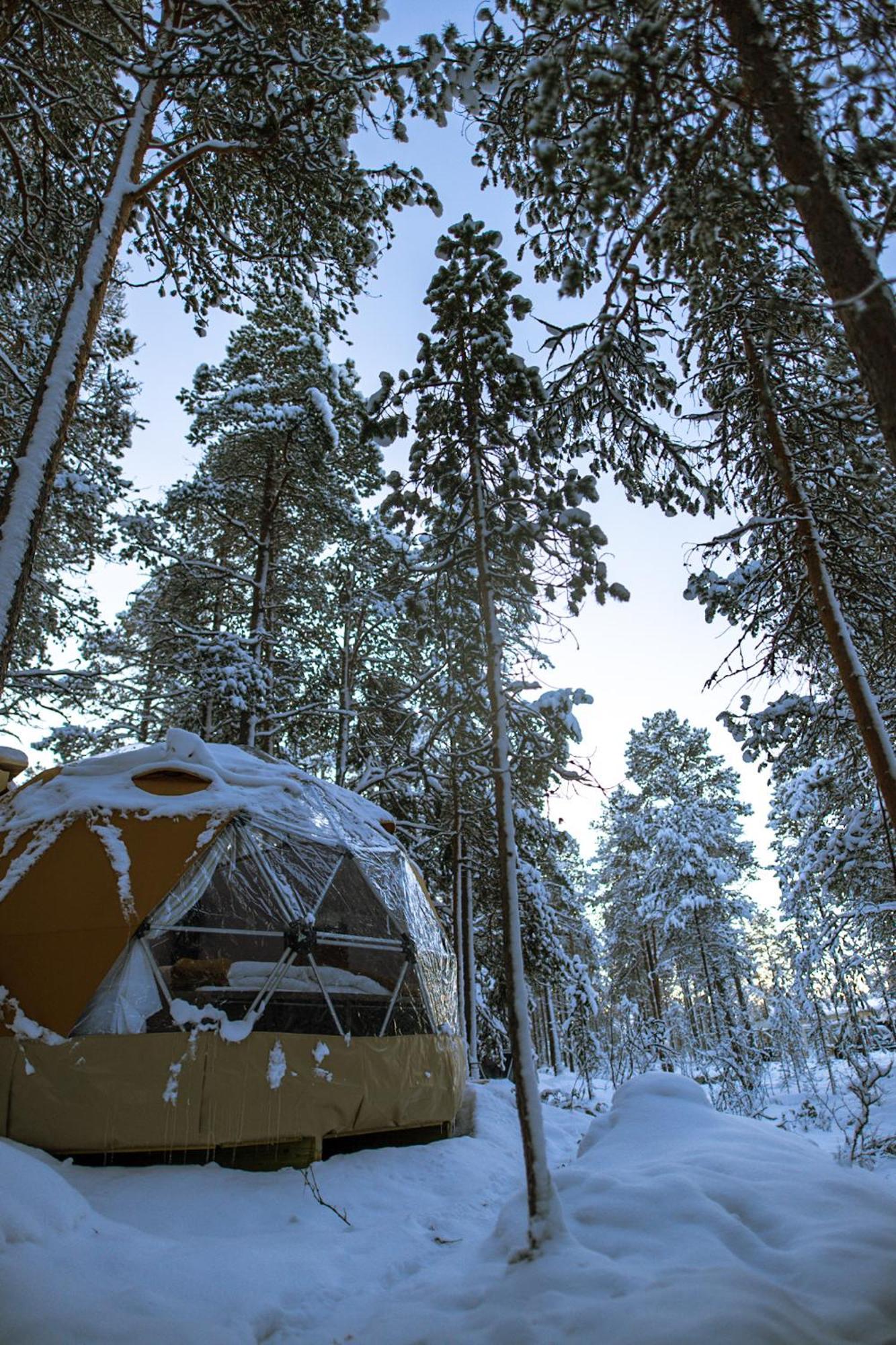 GLØD Aurora Canvas Dome Alta Eksteriør billede