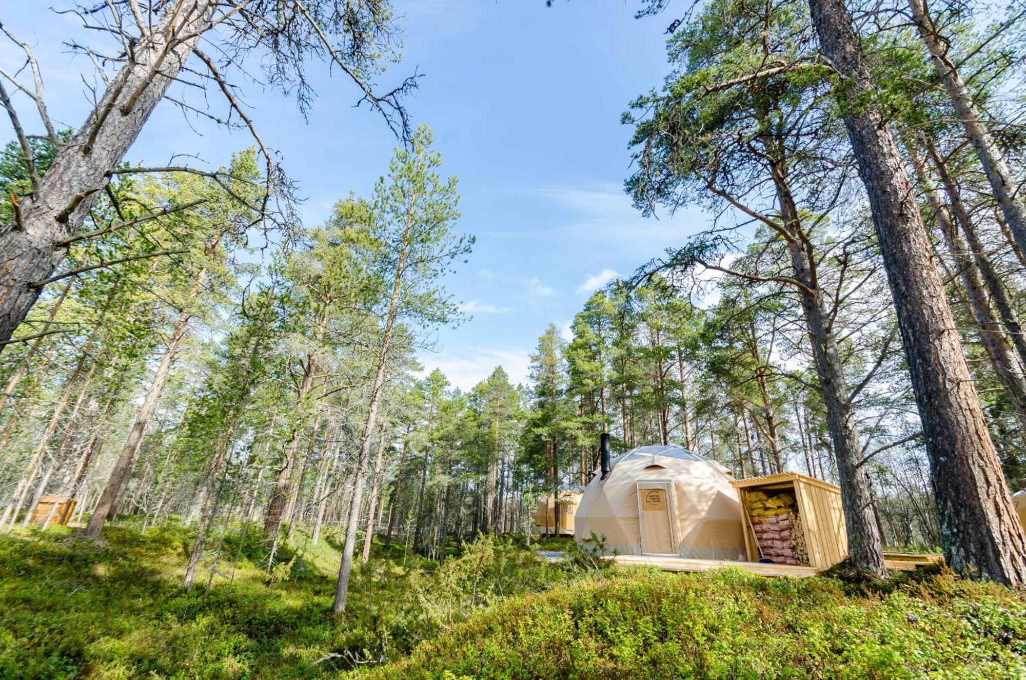 GLØD Aurora Canvas Dome Alta Eksteriør billede