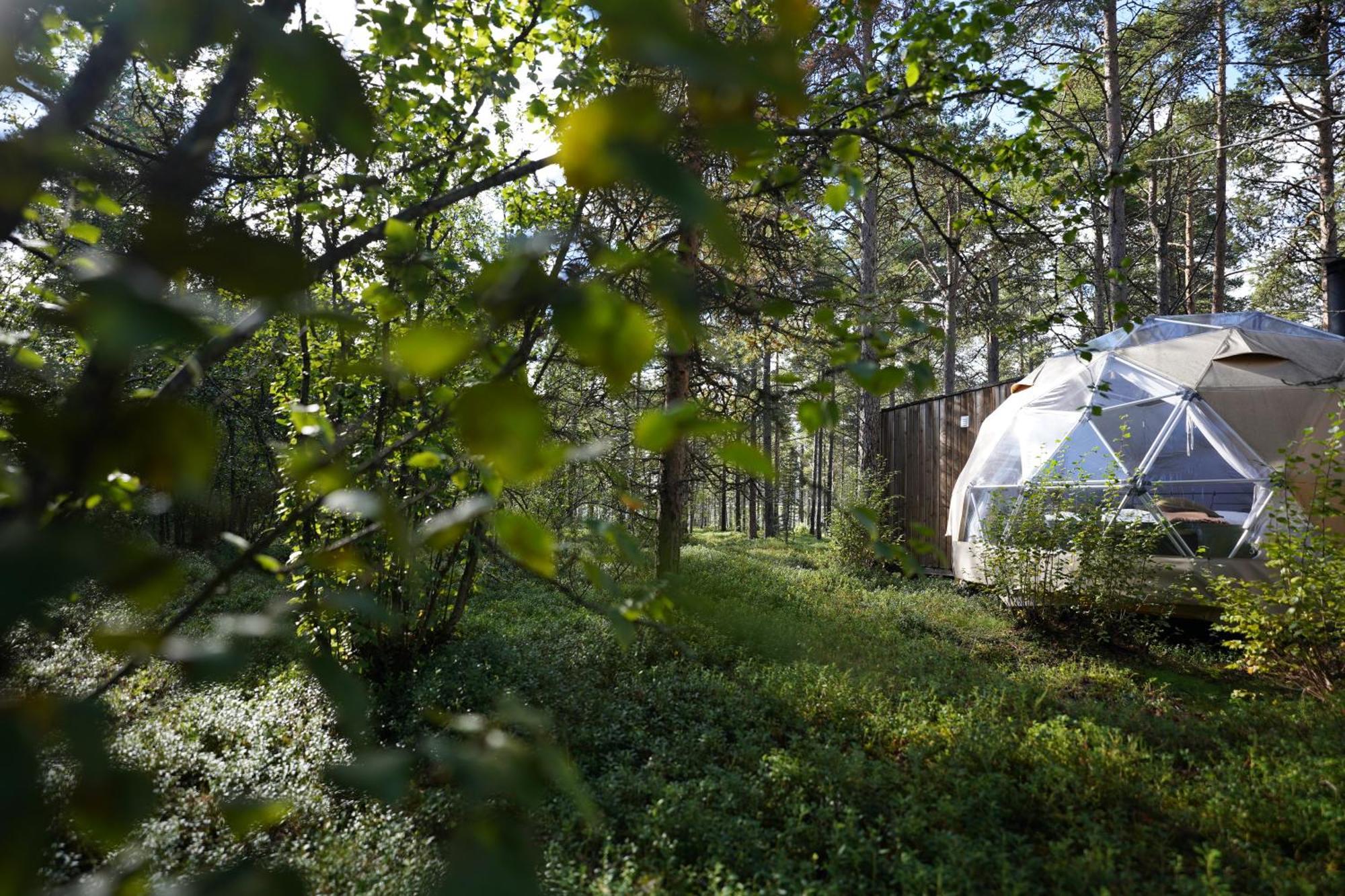 GLØD Aurora Canvas Dome Alta Eksteriør billede