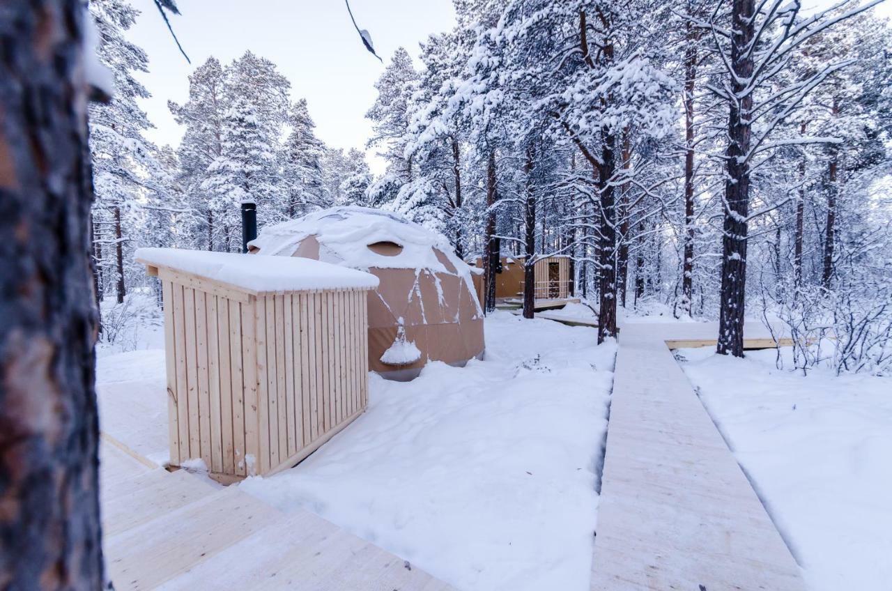 GLØD Aurora Canvas Dome Alta Eksteriør billede