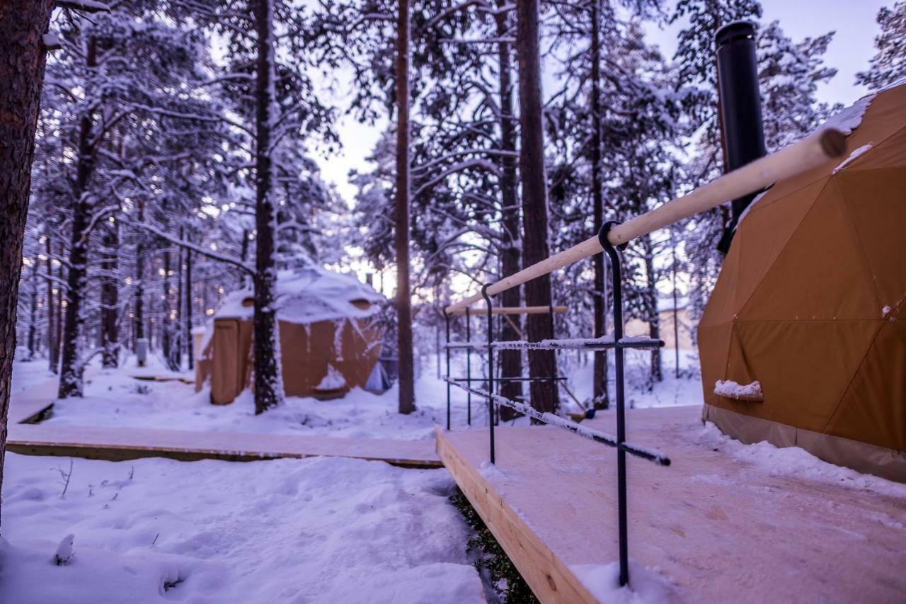 GLØD Aurora Canvas Dome Alta Eksteriør billede