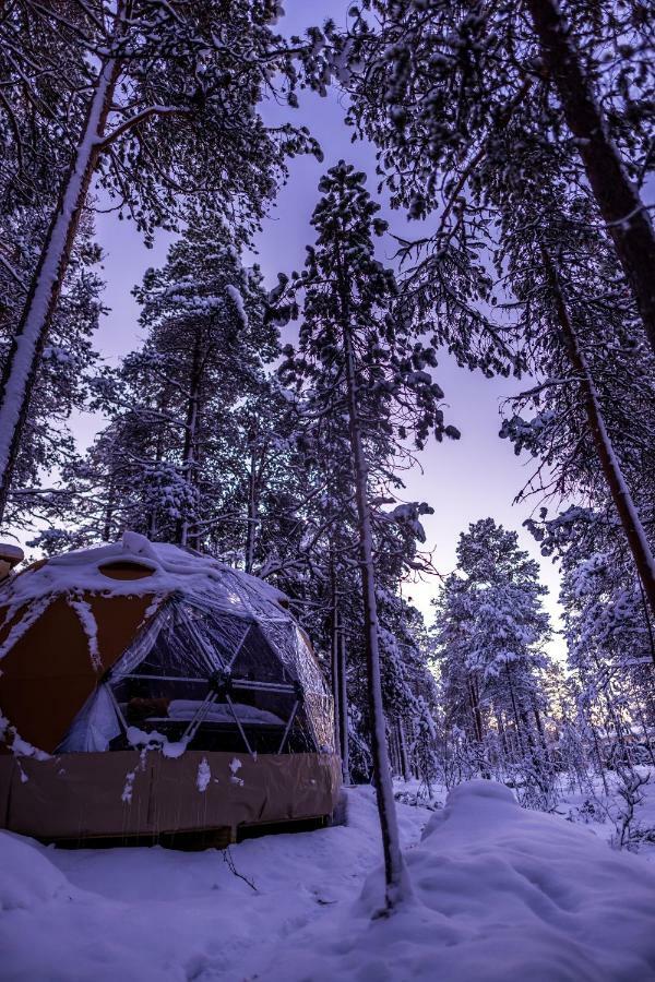 GLØD Aurora Canvas Dome Alta Eksteriør billede