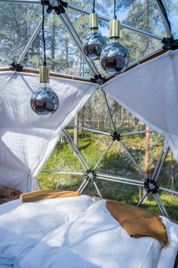 GLØD Aurora Canvas Dome Alta Eksteriør billede
